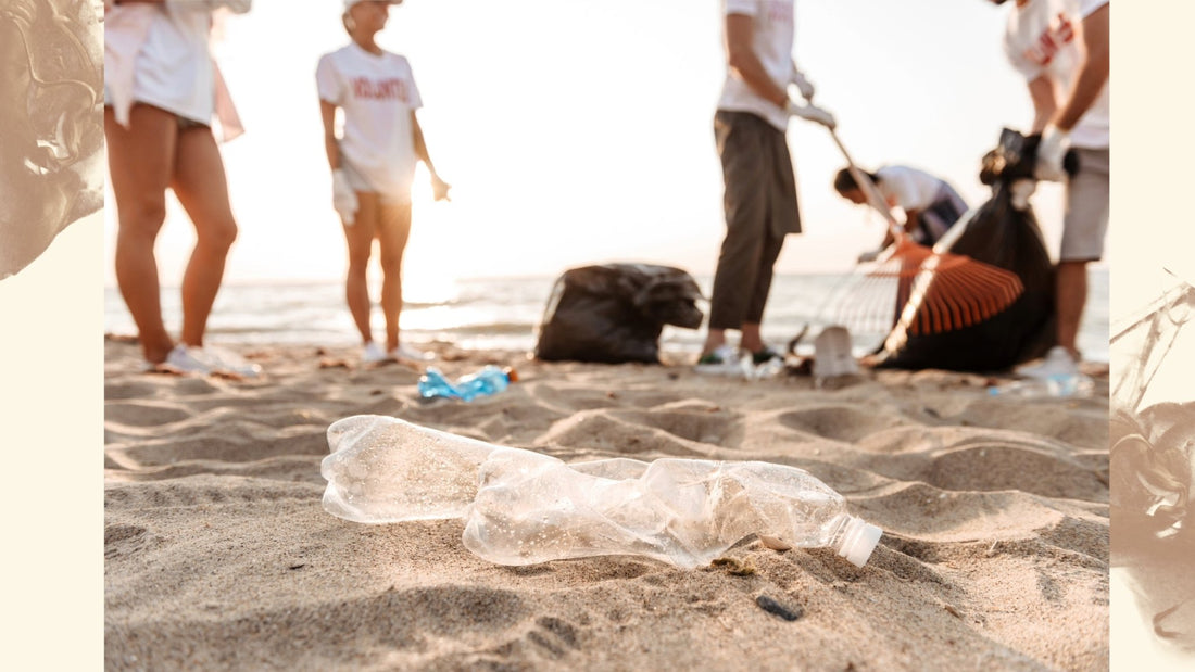 Going Green in the New Year - Saltwater Bodega