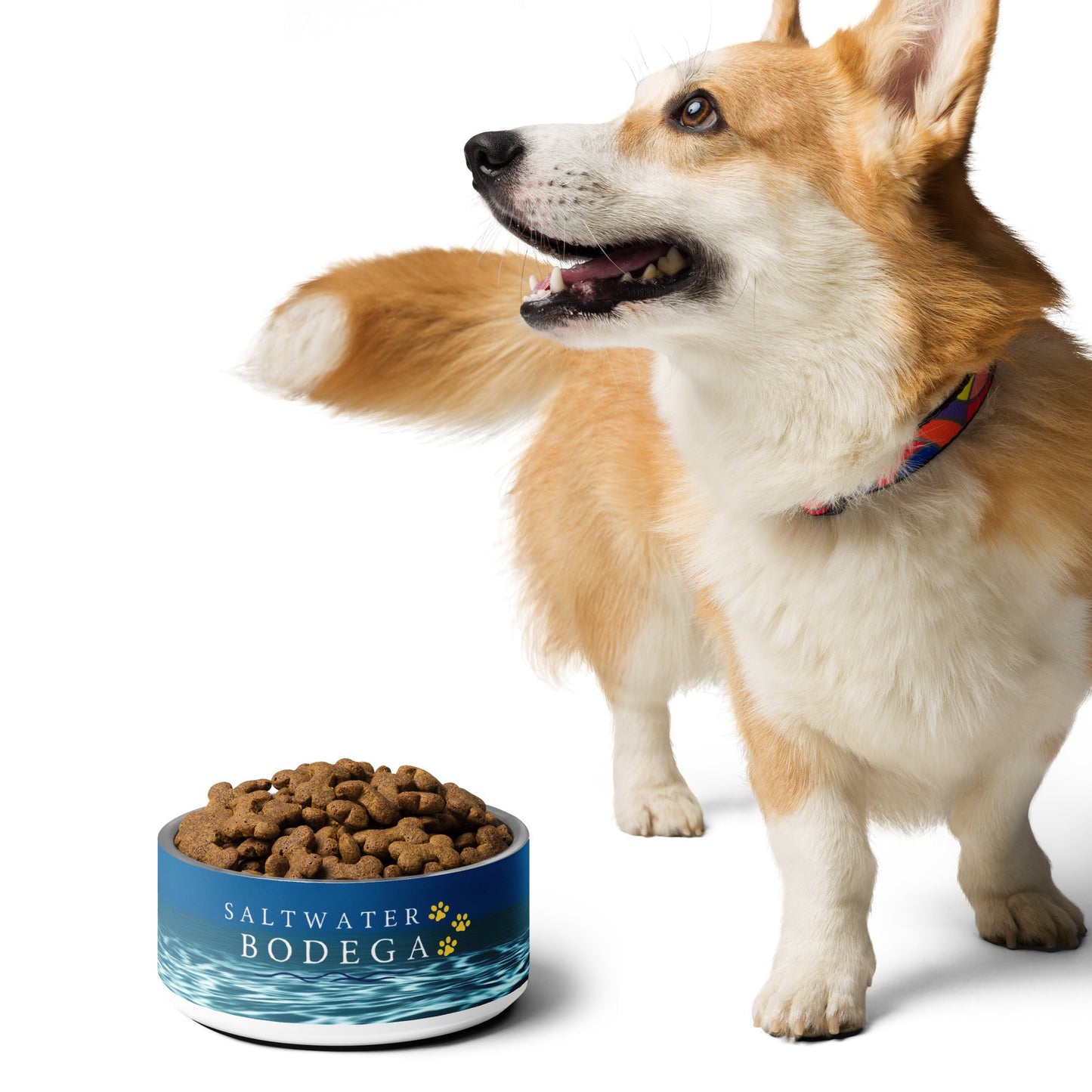 Saltwater Bodega Dog Bowl - Saltwater Bodega