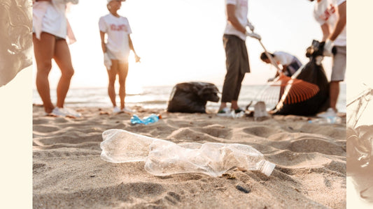 Going Green in the New Year - Saltwater Bodega