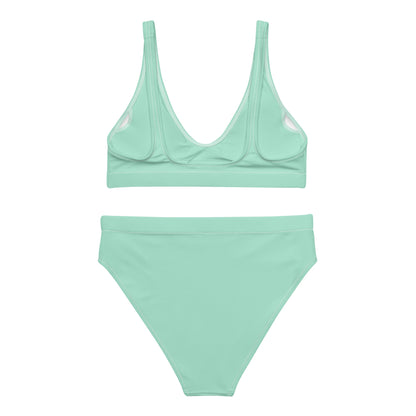 Eco - Lux High Waisted Bikini in Mint - Saltwater Bodega