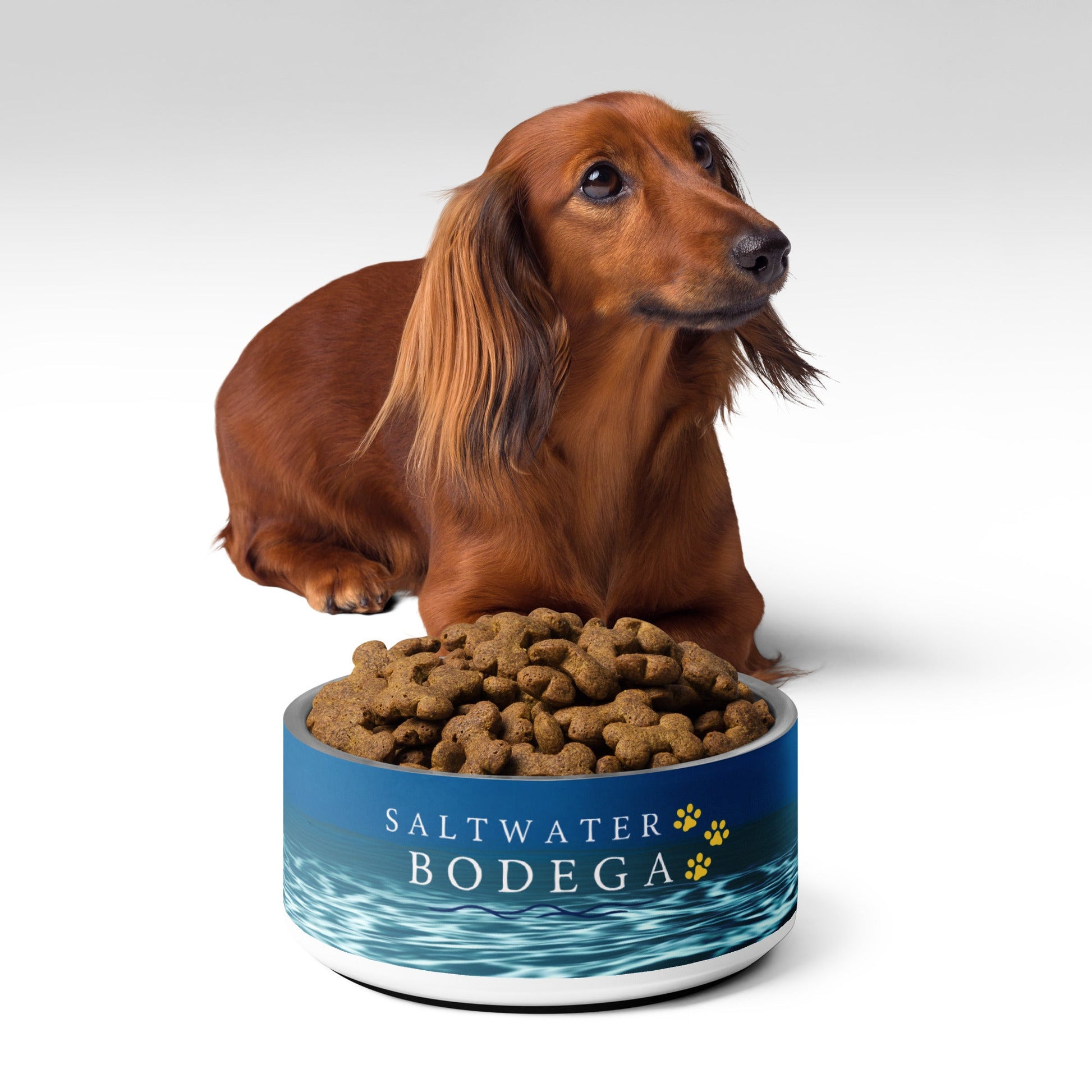 Saltwater Bodega Dog Bowl - Saltwater Bodega